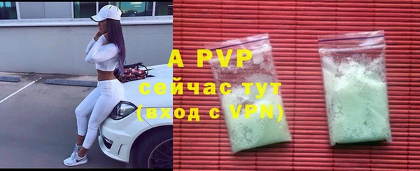 гидра Богданович