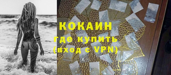 гидра Богданович
