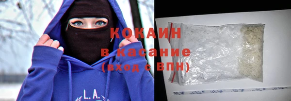 гидра Богданович