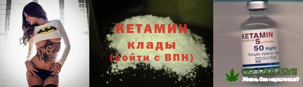 гидра Богданович
