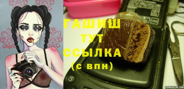 гидра Богданович