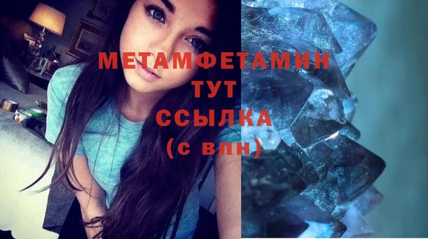 гидра Богданович