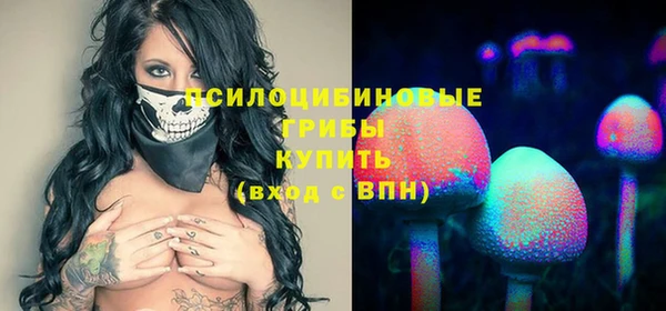 гидра Богданович