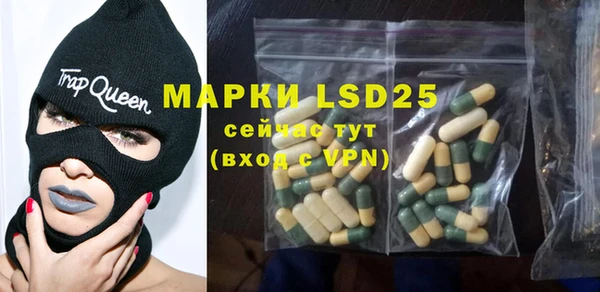 гидра Богданович