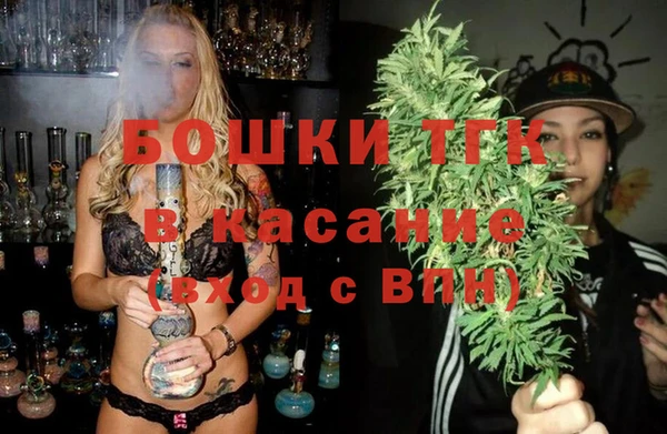 гидра Богданович
