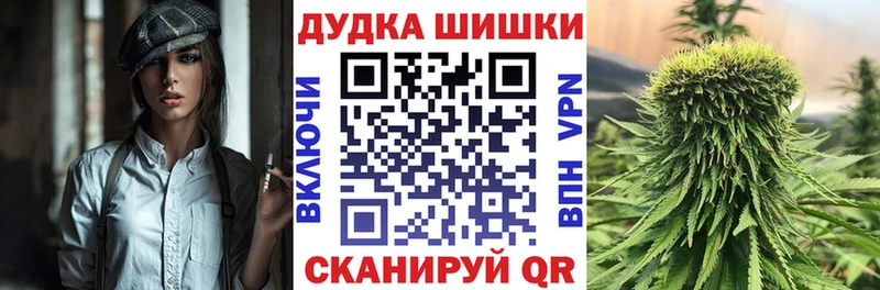 Канабис план  Дно 